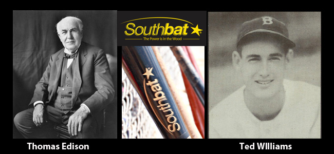 Part II: Lessons from Thomas Edison and Ted Williams: The Great Bat Debate