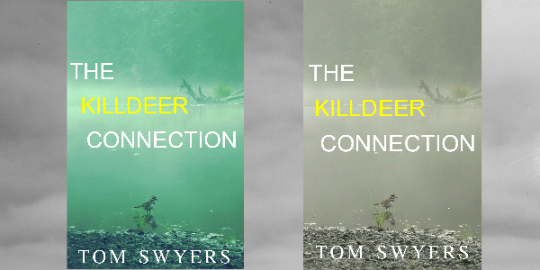 “The Killdeer Connection” Book Cover Failures: Part 1